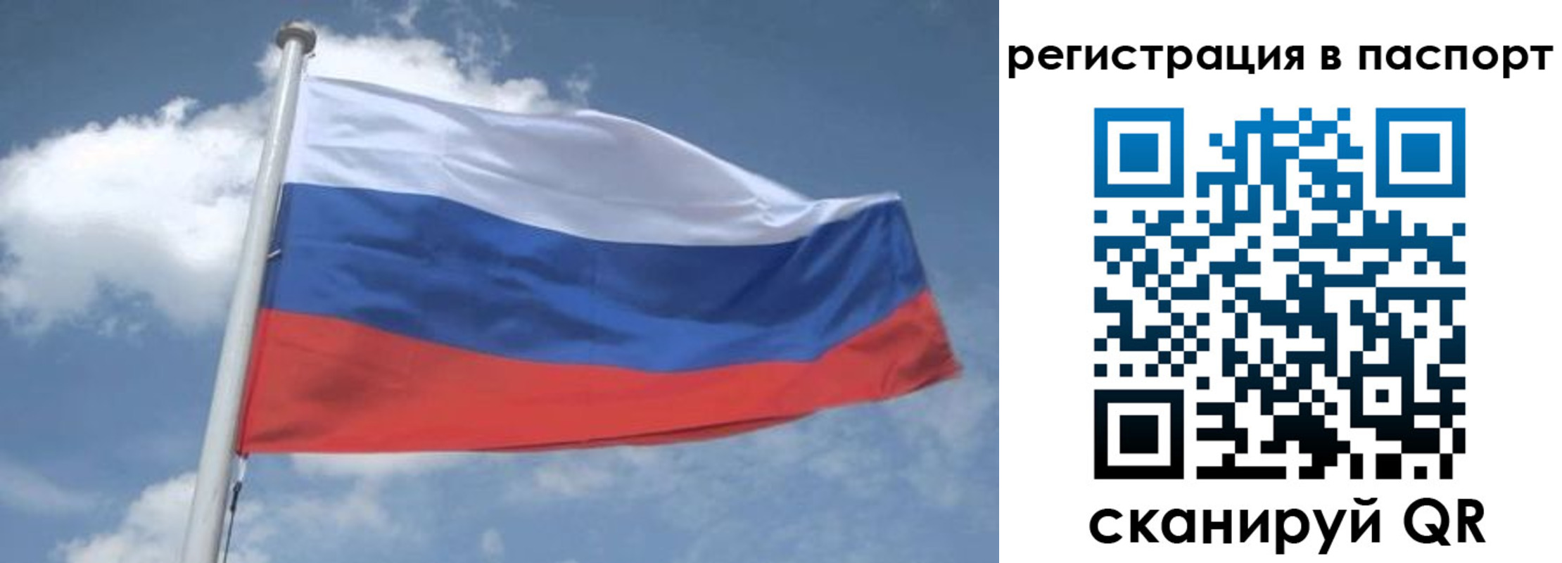 временная регистрация надежно в Белгороде